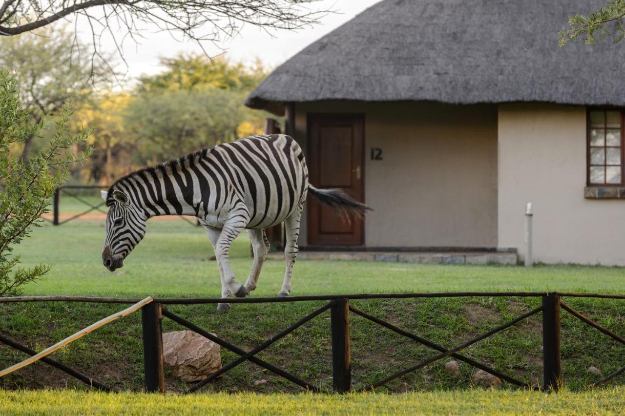 Mongena Private Game Lodge Rust de Winter Exterior foto