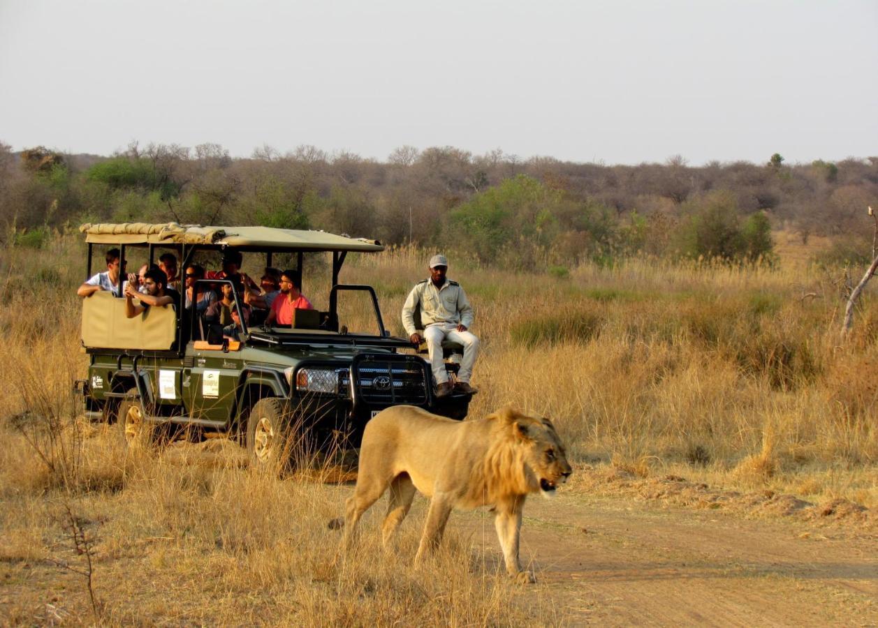 Mongena Private Game Lodge Rust de Winter Exterior foto